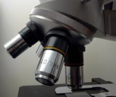 microscope